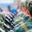 Инфформация для желающих проходить военную службу по контракту на должностях сержантов и солдат на территории Северо-КавказскогоРегиона Российской Федерации - Топкинский округ