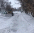 Расчистка улично-дорожных сетей - Топкинский округ