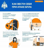 Рекомендации по действиям при угрозе или атаке беспилотными воздушными (беспилотные летальные аппараты)
